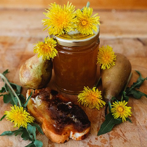 Two Recipes: Dandelion & Pear Jam and Dandelion Crisps