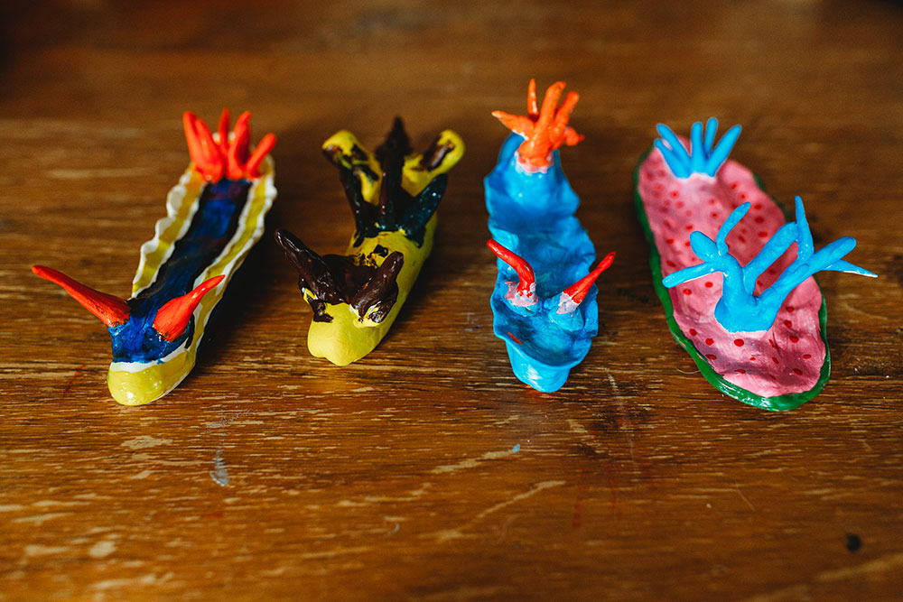 Making Our Own Nudibranchs!