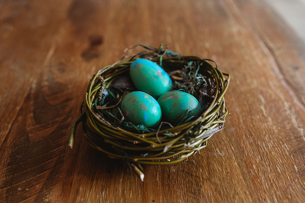 Make your own bird nest, the perfect spring activity!