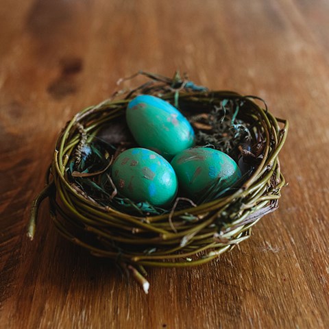 Make your own bird nest, the perfect spring activity!