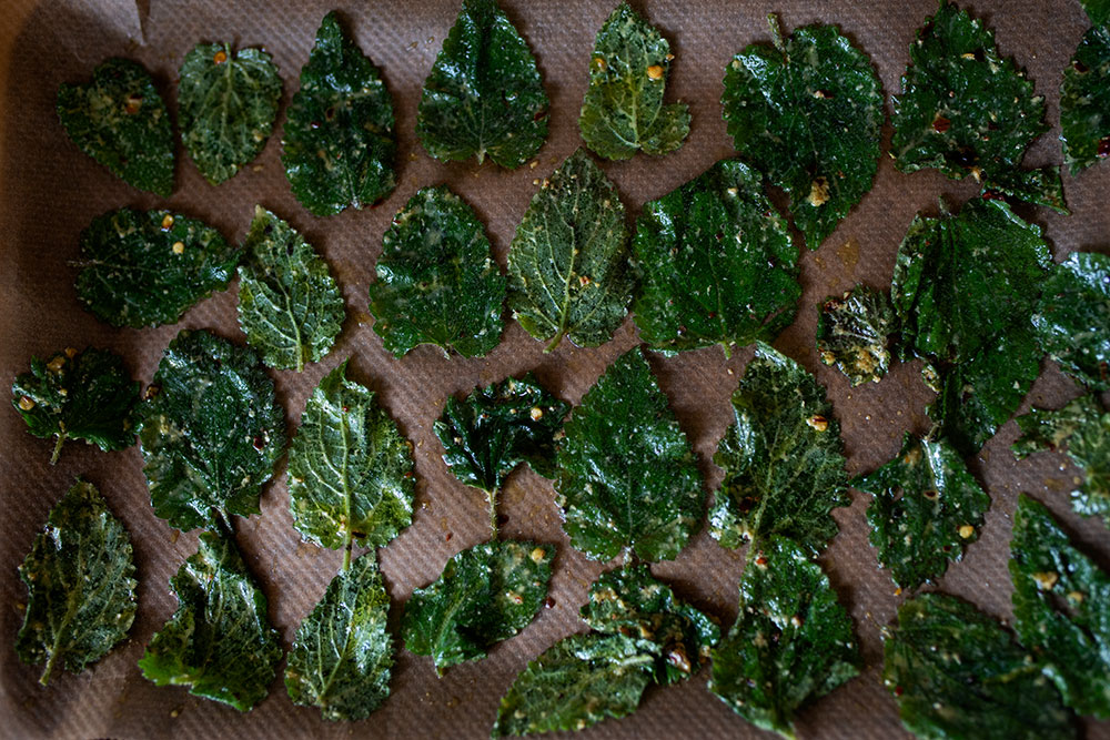 First Nettle Crisps Of The Year