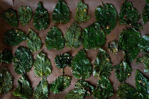 First Nettle Crisps Of The Year