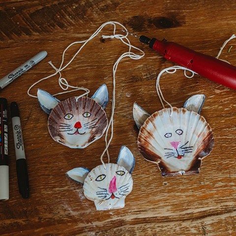 Cat Shell Ornaments