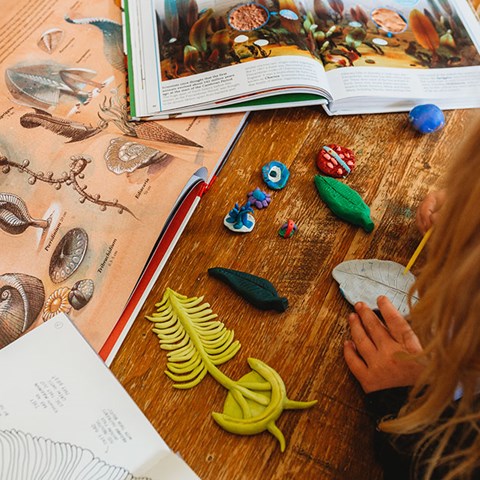 Our Timeline of Life on Earth