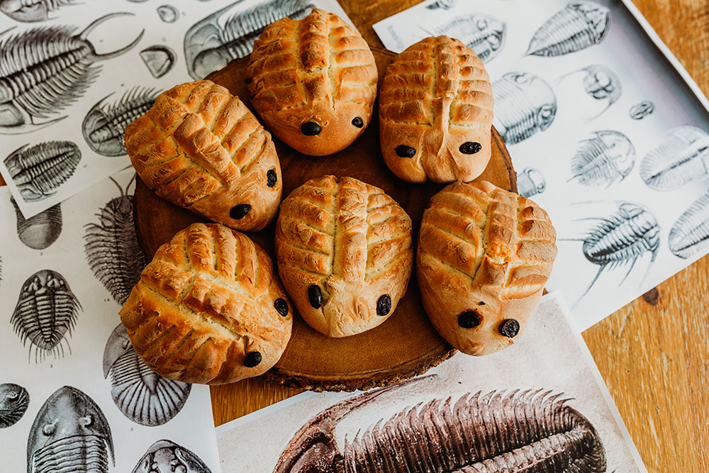 Making 2 Kinds of Edible Trilobites