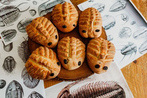 Making 2 Kinds of Edible Trilobites