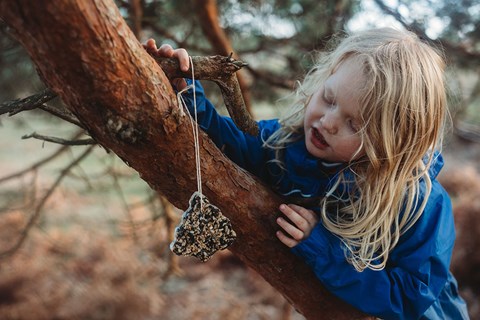 Super Simple DIY Birdfeeder