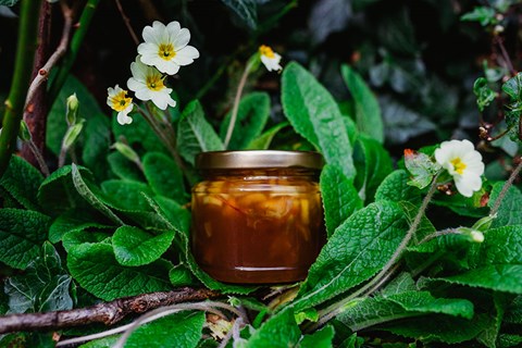 My Very Yummy Rustic Primrose Jam
