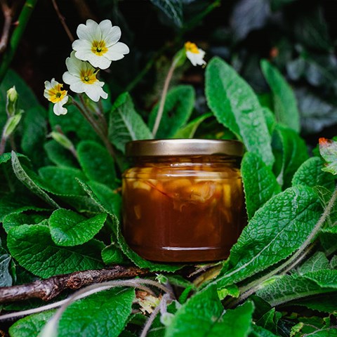 My Very Yummy Rustic Primrose Jam