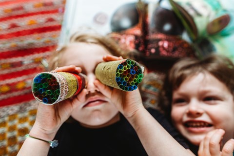 Learning How Insects see: Compound Eyes