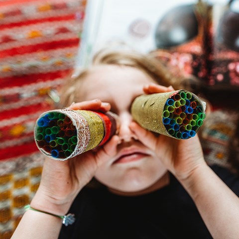 Learning How Insects see: Compound Eyes