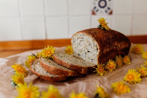 Three Recipes: Dandelion Bread (one sweet & one savoury) & Dandelion Honey