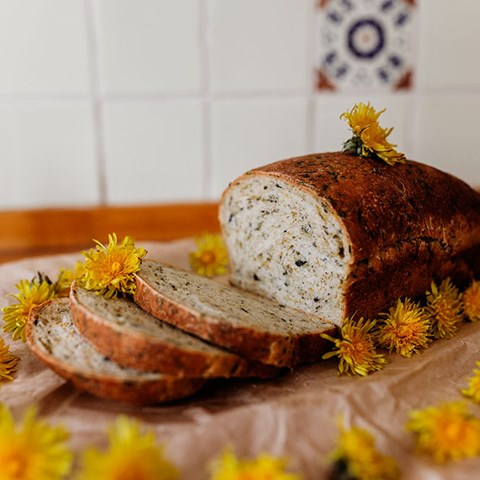 Three Recipes: Dandelion Bread (one sweet & one savoury) & Dandelion Honey