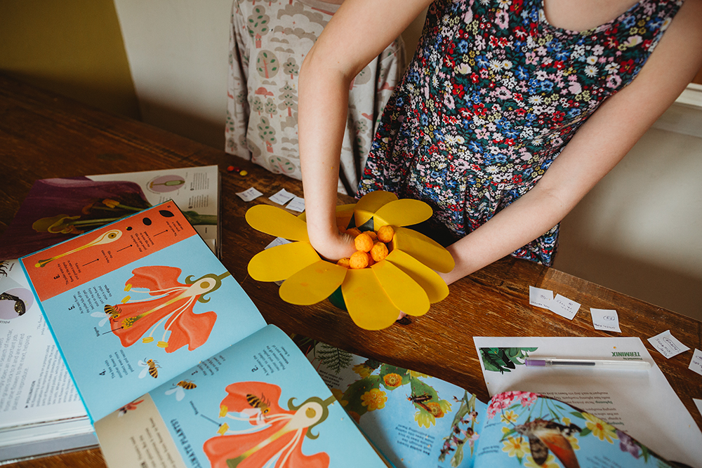 How Pollination Works Demo