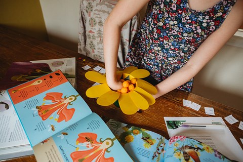 How Pollination Works Demo