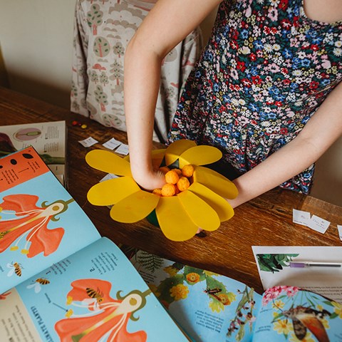 How Pollination Works Demo