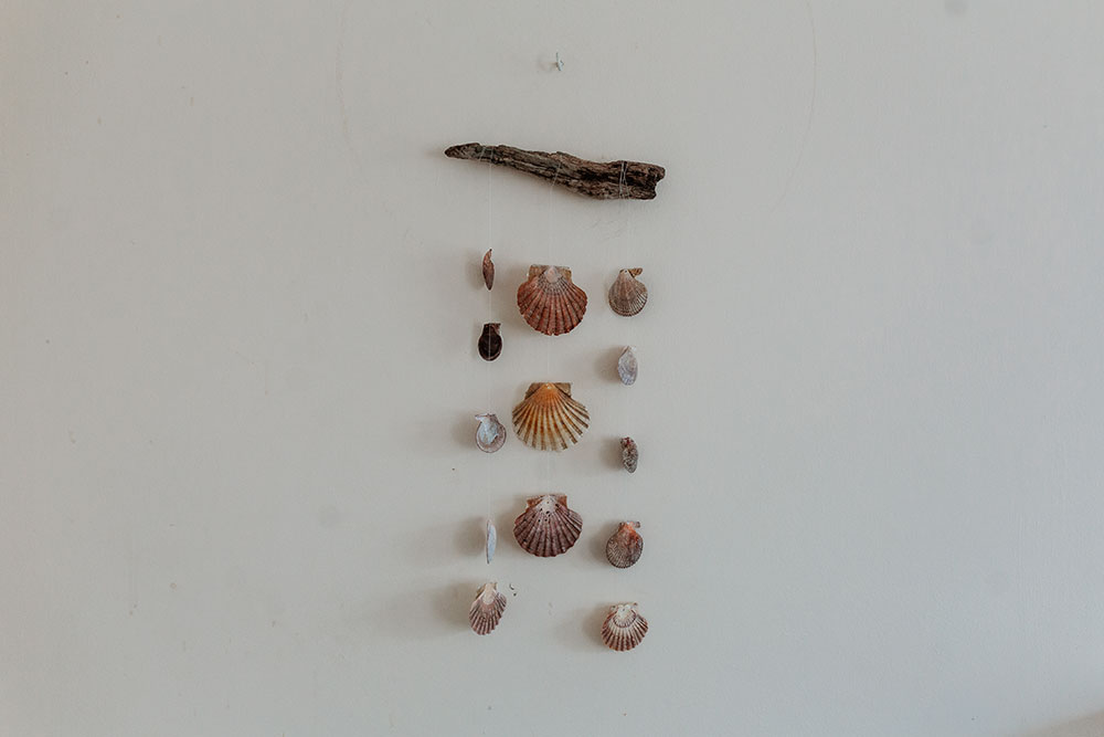 Seashell Wall Hanging