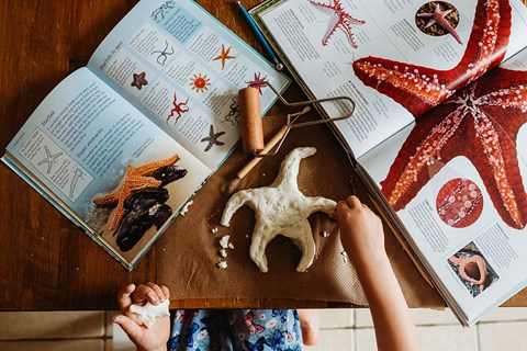 Salt dough Starfish