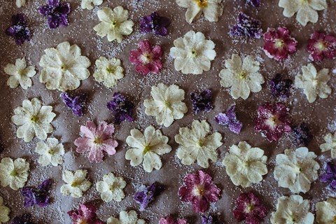 Crystallized Edible Spring Flowers & Vegan Cookies