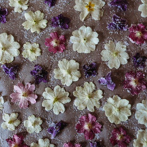 Crystallized Edible Spring Flowers & Vegan Cookies