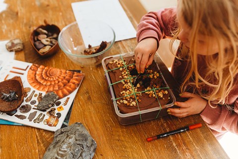 Learning About Fossils & Paleontology!