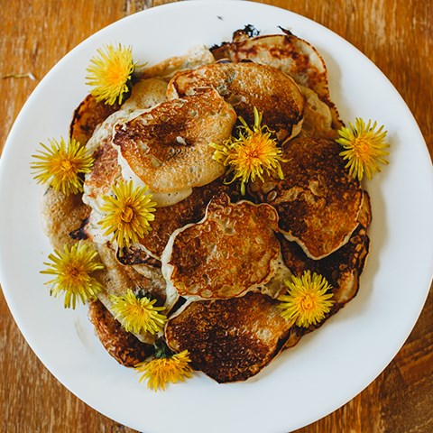 Dandelion Pancakes & Dandelion Fritters