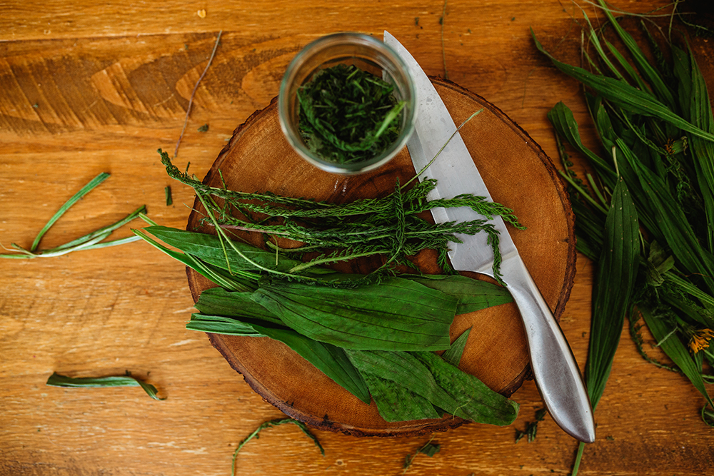 DIY Healing Salve~ Yarrow & Plantain
