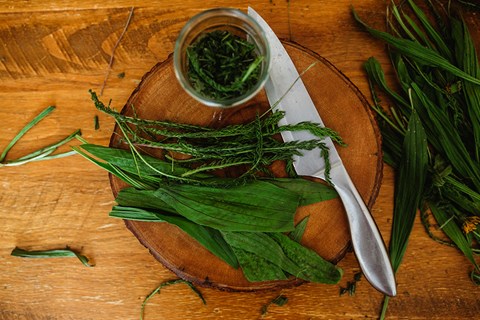 DIY Healing Salve~ Yarrow & Plantain