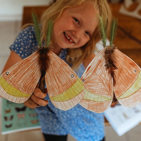 Make Your Own Little Nature Moths