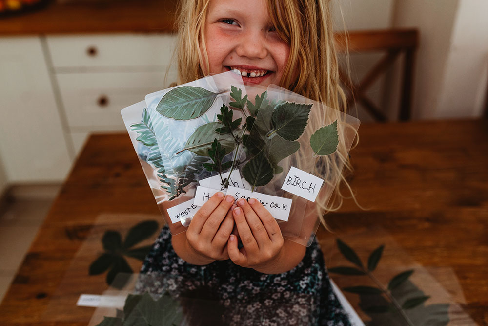 DIY Tree ID Cards