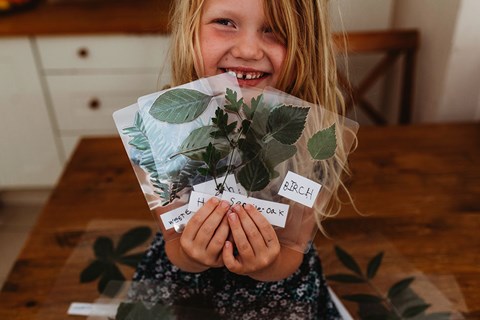 DIY Tree ID Cards