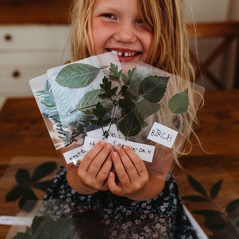 DIY Tree ID Cards