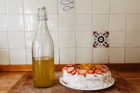 Vegan Gorse Cake: remaking my swedish cream cake!