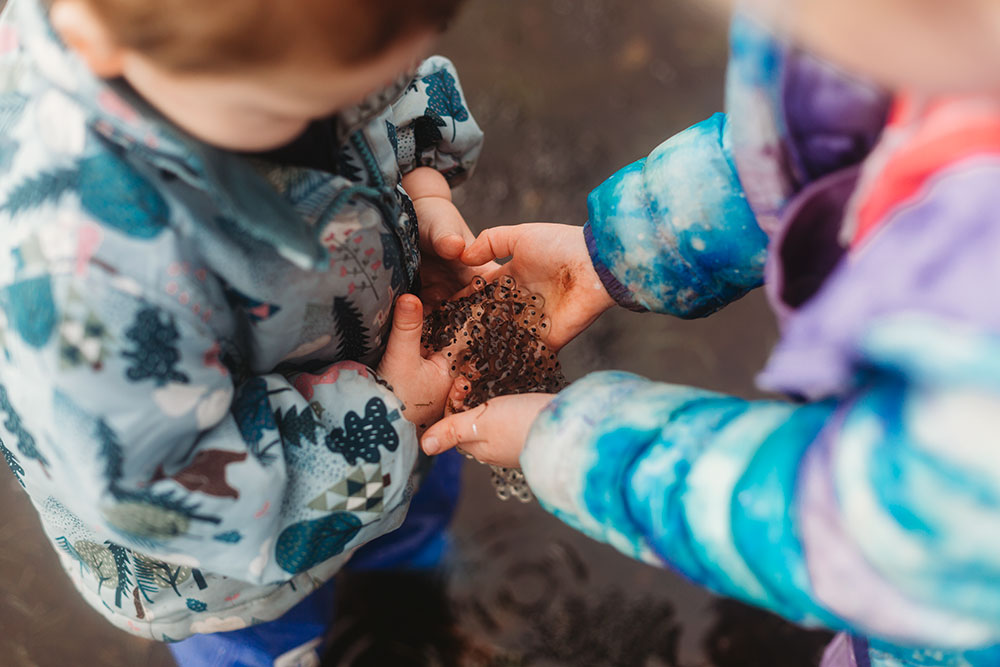 Raising Tadpoles