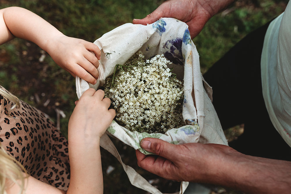 Elderflower Cordial