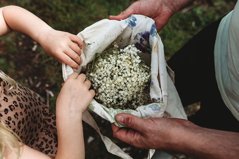 Elderflower Cordial