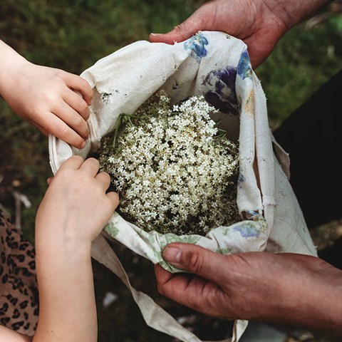 Elderflower Cordial