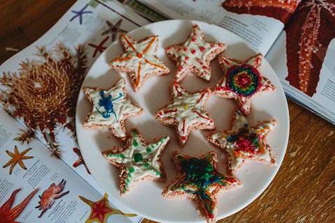 Sea Star Rice Krispie Treats